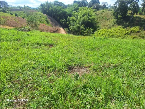 Venta Lotes En Quimbaya -quindío Colombia Cod: 7555717