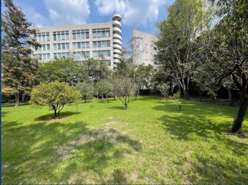 Imagen 3 de 15 de Venta Terreno En Las Flores, Flor De María 5,368m2
