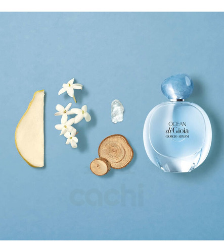 Perfume Ocean Di Gioia Edp 100ml Giorgio Armani Original