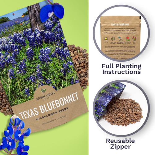 Texas Bluebonnet - Semillas De Flores Silvestres Bolsa A G