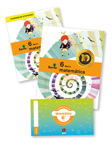 Libro Texto Matemática 6to Básico - Savia