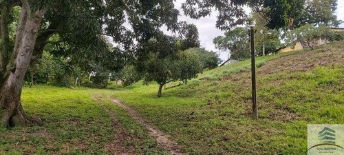Imagem 1 de 15 de Granja A Venda Em Macaíba Com 23ha