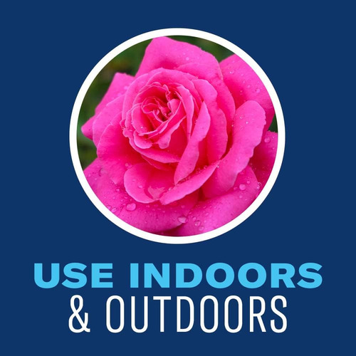 Control De Insectos Y Ácaros Para Plantas De Interior, Lista