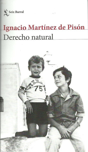 Derecho Natural - Martinez De Pison, Ignacio - Es