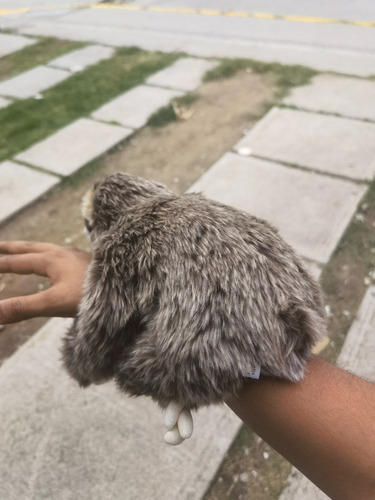 Peluche Pereza Juguete Felpa Oso Perezoso 35 Cm Realista