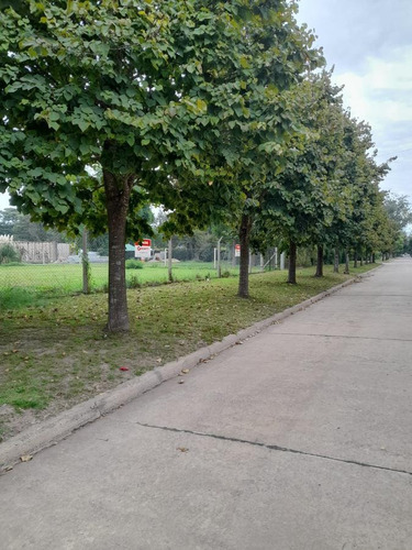 Imagen 4 de 6 de Terreno - Barrio Belgrano