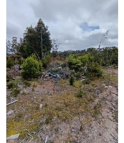 Parcela Con Orilla De Río Y Rol Propio