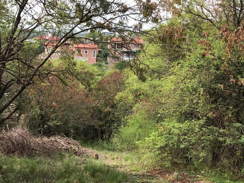 Imagen 7 de 12 de Terreno En Venta Cinco Lomas