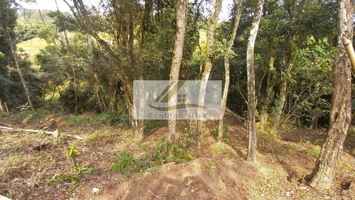 Imagem 13 de 15 de Chacara Na Divisa De Ibiuna Com Piedade-sp Ref. 6 - 6
