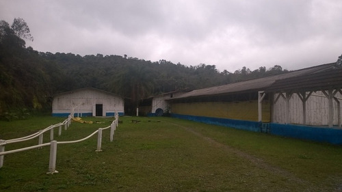 Imagem 1 de 14 de Granja Upd Matrizes Suínas, Em Integração Vertical