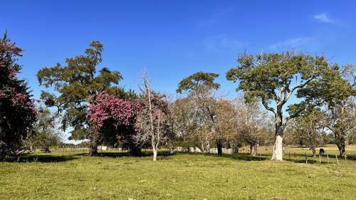 Imagen 17 de 30 de Campo Sobre Autopista Ruta 14 Colón Entre Ríos