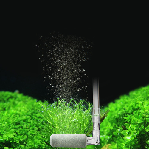 Kit Difusor Atomizador Para Acuario Plantado Para Tank Creat