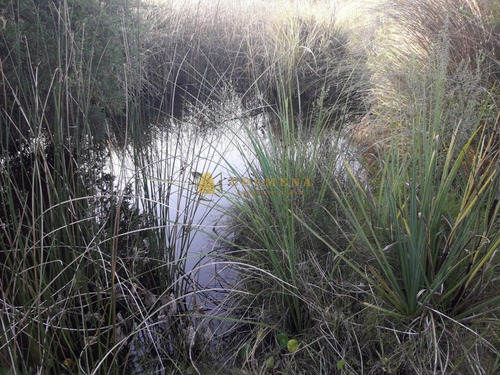 Campo En Ruta 39 - Consulta!!!!!!-ref:3599