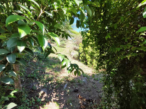 Terreno En Venta En Cuesta Blanca, Cordoba