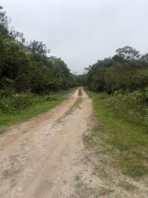 Imagem 4 de 5 de Terreno De Chácara Lado Serra, Itanhaém- São Fernando. 8963