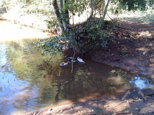 Chácara Com 1 Dormitório À Venda, 8000 M² Por R$ 480.000,00 - Gleba Ribeirão Cafezal - Londrina/pr - Ch0031