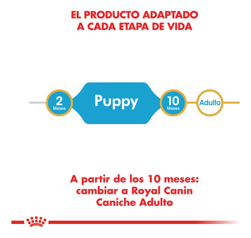 Alimento Royal Canin Poodle Junior Perro Cachorro 1kg
