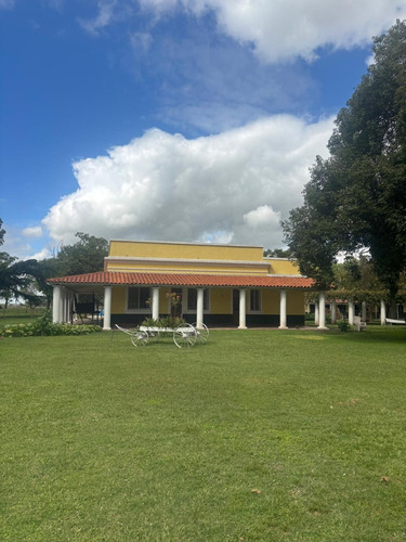 Campo En Alquiler, Gral. Rodríguez