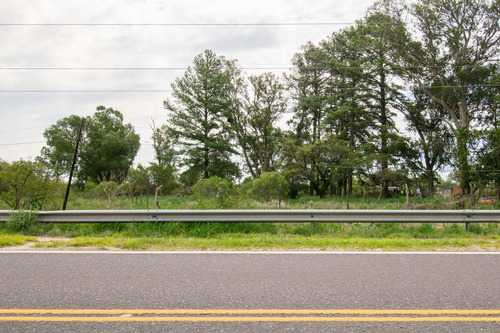 Imagen 1 de 8 de Se Vende Terreno Sobre Ruta Provincial Nº1