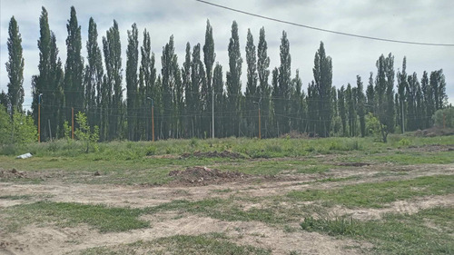 Imagen 5 de 7 de Venta Terreno En Centenario Loteo La Emilce
