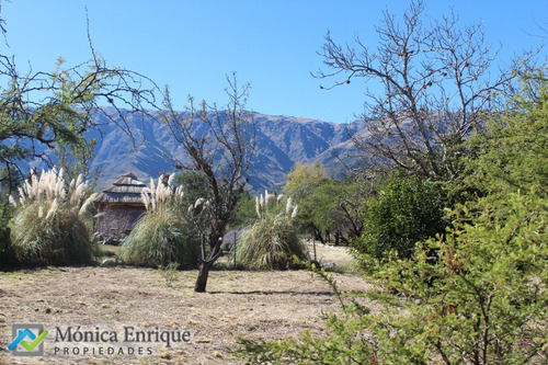 Lote De 1500m2 En Cerro De Oro, Sobre Calle Cuesta De La Granadilla
