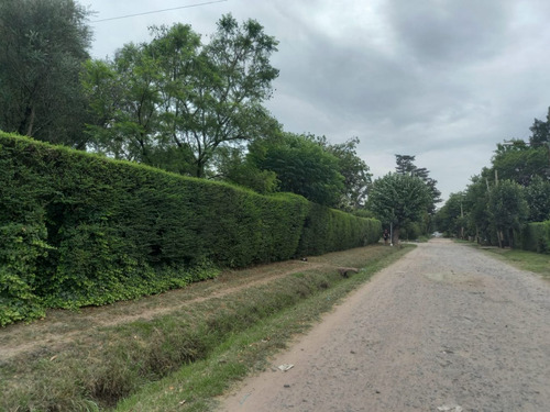 Imagen 3 de 8 de Terreno En Venta En José C Paz