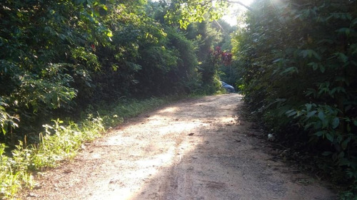 Imagem 7 de 15 de Chácara Para Venda Em Mogi Das Cruzes, Manoel Ferreira, 5 Dormitórios, 3 Banheiros, 4 Vagas - 555_1-1361254