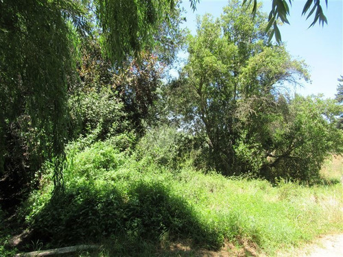 Imagen 3 de 16 de Sitio Con Acceso A Estero Puangue