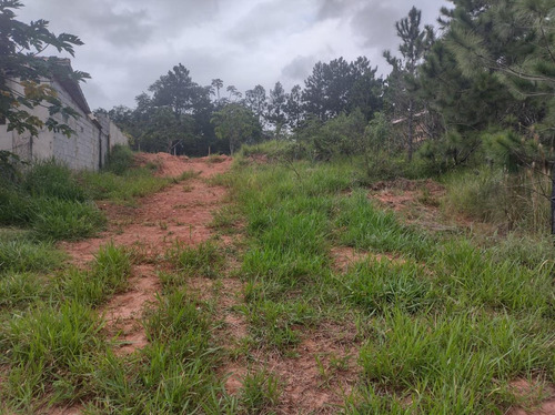 Imagem 4 de 7 de Chácara Para Venda Em Bragança Paulista, Bacci - 6415_2-1536502