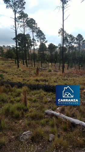 Imagen 2 de 12 de Preventa Financiado Tierras Del Cacique Yan Lotes 1200 M2 Villa Yacanto De Calamuchita - Córdoba