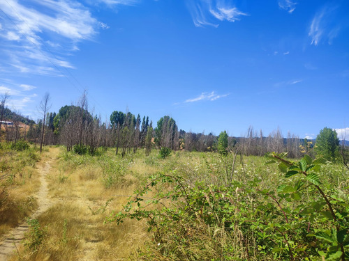 Venta De Terreno Agricola En Santa Juana