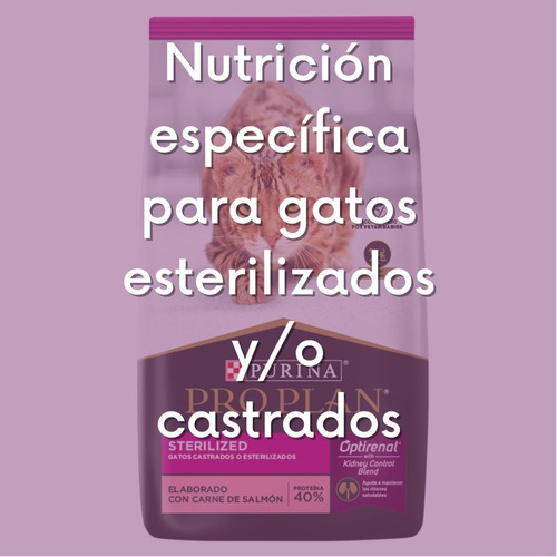 Sterilized Cat 3 Kg Gato Esterilizado