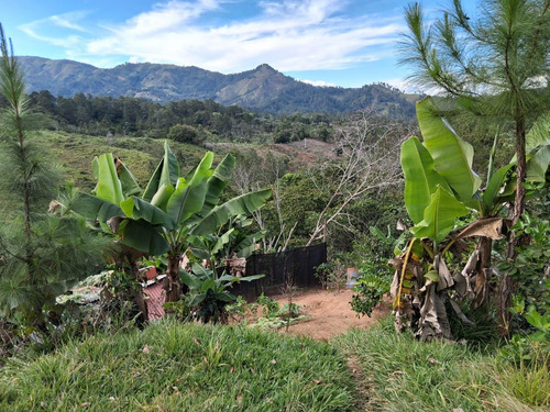 Vende Finca En Jarabacoa, Cultivadad