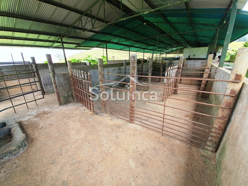 Imagen 29 de 30 de Amplia Finca En Venta Mérida, Chiguará