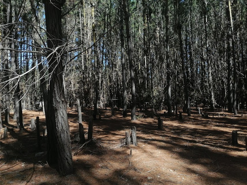 Parcela, Plana, A Orillas Del Camino Antiguo A Las Docas