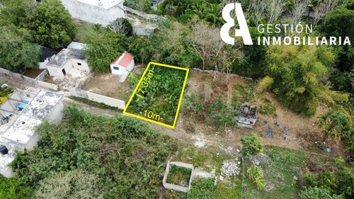 Imagen 2 de 8 de Venta De Terreno En Tizimin, Yucatán. Ctv48.