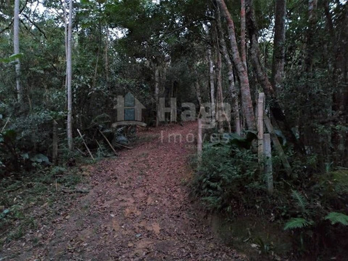 Terreno Rural Para Sítio À Venda Em Brusque/sc - 1192