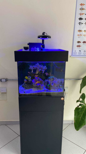 Imagem 3 de 10 de Aquario Cubo Marinho 100 Lt Novo Completo De 1a Qualidade