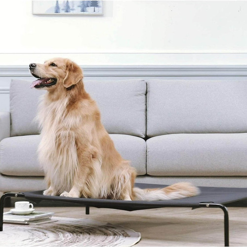 Cuna Portátil Para Mascotas Grande Cama Elevada Para Perro