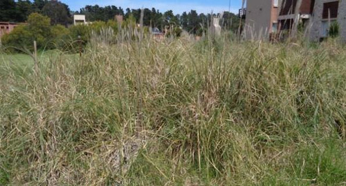 Venta Terreno / Lote Mar Azul