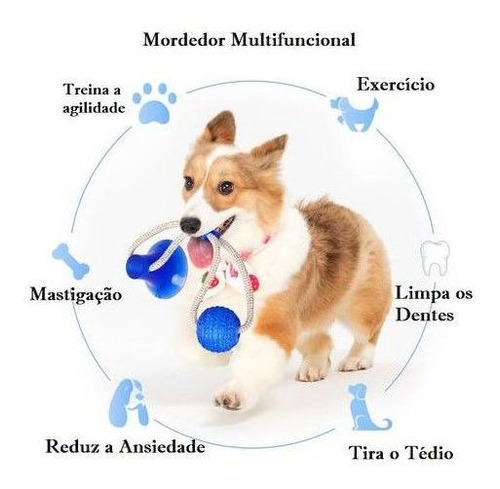 Brinquedo Corda Ventosa Morder Pet Cachorro | MercadoLivre