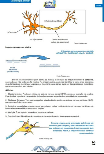 Imagem 3 de 6 de Livro Resumo De Biologia Para Enem, Vestibulares E Escolas