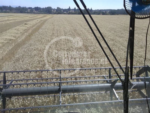 Agrícola En Venta En Victoria