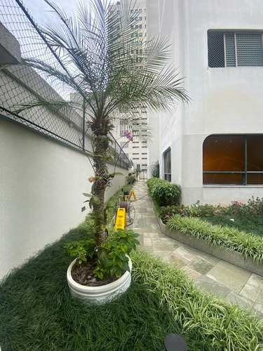 Imagem 18 de 19 de Apartamento - Ap01241 - 69853710