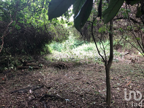 Venta Terreno 0 Ambiente Ahuatepec