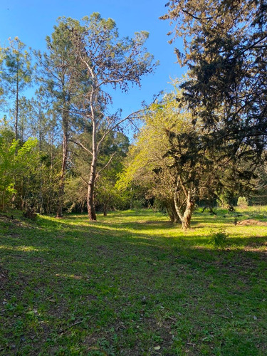 Imagen 3 de 13 de En Venta Importante Chacra 5.5 Hectareas Con Emprendimiento
