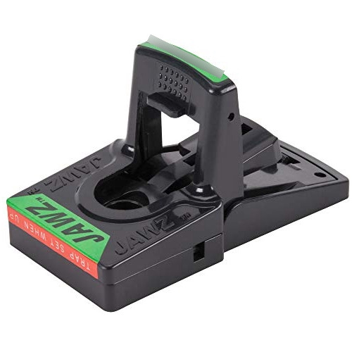 Trampa Ratón Plástico Jt Eaton 409bulk (24 Uds.)