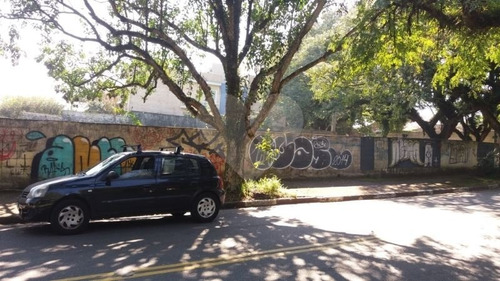 City Boaçava - Frente A Praça Barão Pinto Lima - 353-im80953