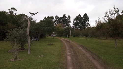 Venta Finca San Gregorio De Polanco