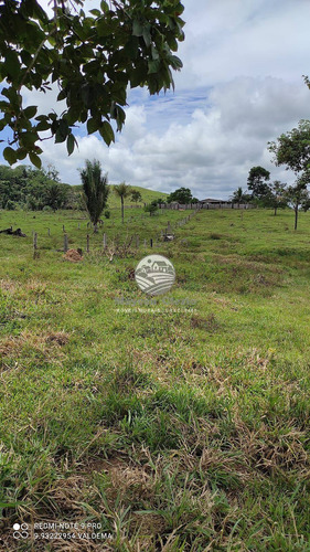 Imagem 10 de 21 de Venda Sítio Ariquemes Em Rondônia - Siv110